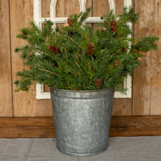 25" Angel Pine Spray With Cones